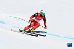 开云下载-奥地利选手在高山滑雪比赛中表现突出