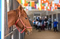 开云体育平台APP-默契传接眼神交流汇成巧合之进球