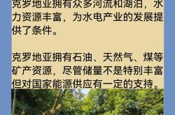 开云体育官网-克罗地亚闷平斯洛伐克，备受关注