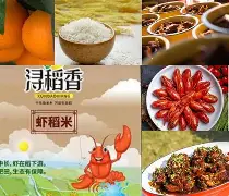 阿利亚诺·拉特妙趣横生吃变装秀